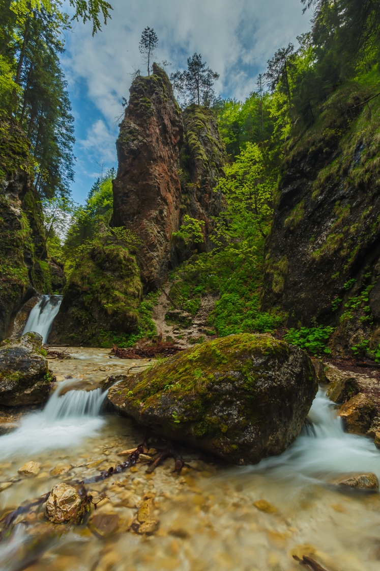 Menšie vodopády sú typické pre tiesňavy a rokliny Jánošíkových dier v Krivánskej Malej Fatre. Na vysokých kaňonovitých stenách vyrastajú na mnohých miestach zo štrbín početné kortúzy.