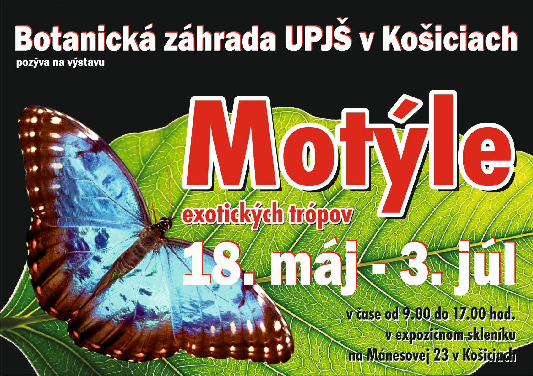 Banner podujatia: Motýle exotických trópov 2022