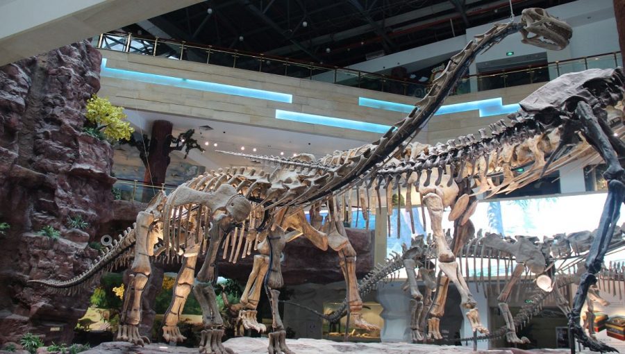Ilustračná fotografia kostry titanosaura. Zdroj: WIKIMEDIA CC