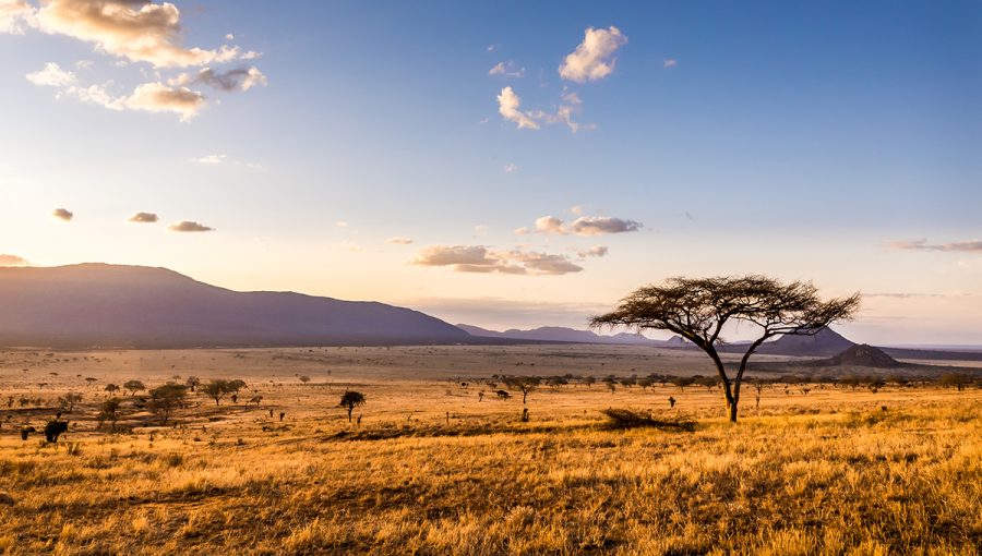 Západ slnka nad savanou v národnom parku v Keni.
