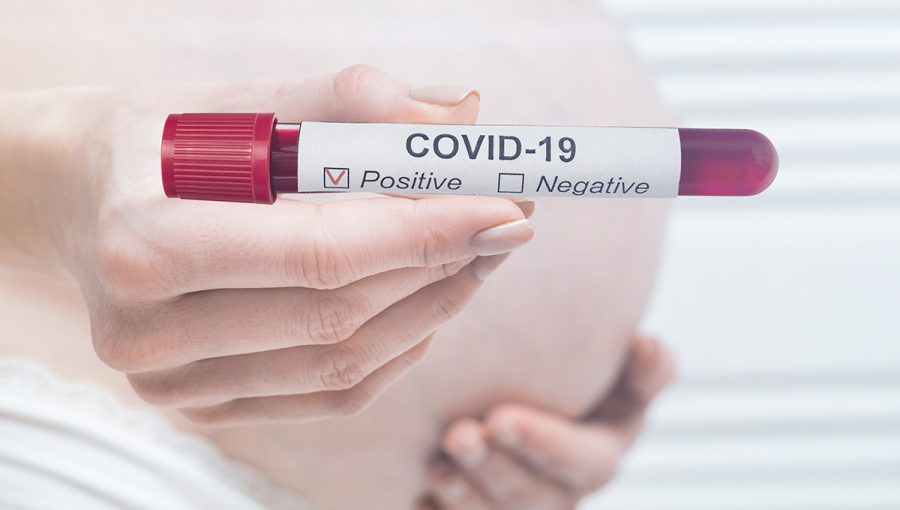 Tehotná žena držiaca pozitívny výsledok na Covid-19. Zdroj: iStockphoto.com