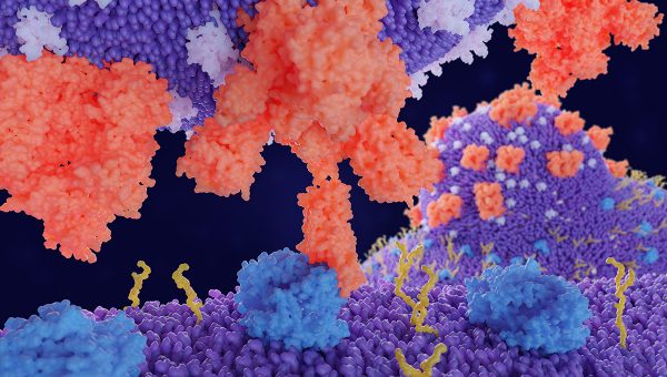 3D ilustrácia procesu uchytenia koronavírusu na ľudskú bunku. Zdroj: iStockphoto.com