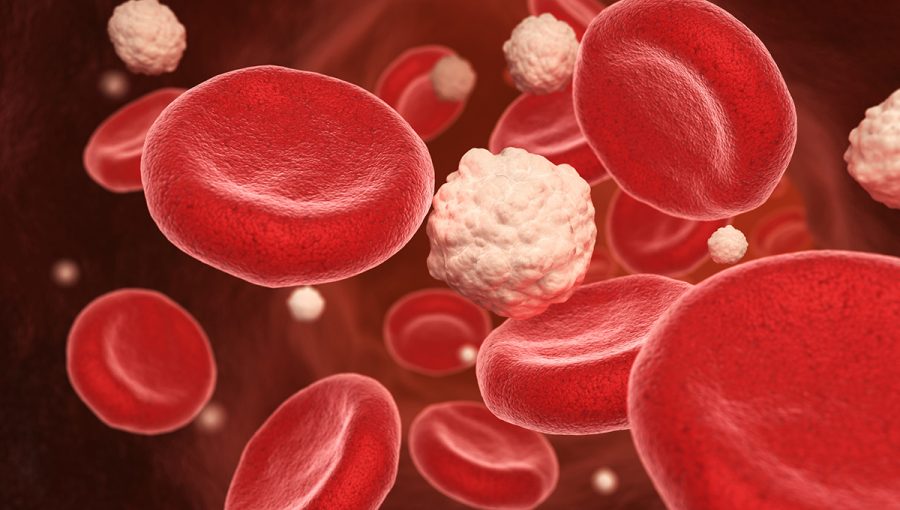 3D ilustrácia krvných doštičiek a glukózy. Zdroj: iStockphoto.com