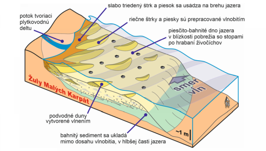 Blokdiagram znázorňujúci predstavu vedcov o paleoprostredí. Zdroj: Univerzita Komenského