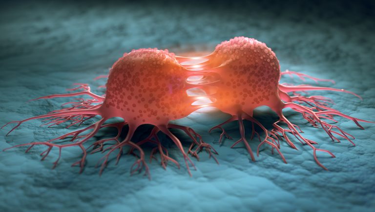 3D ilustrácia rozdeľovania rakovinovej bunky. Zdroj: iStockphoto.com