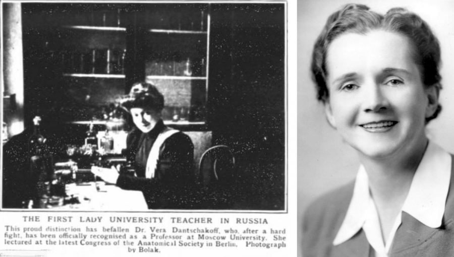 Vľavo Vera Danchakoffová, vpravo Rachel Carsonová. Zdroj: Wikipedia