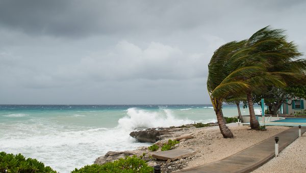 Karibské pobrežie sužované hurikánom. Zdroj: iStockphoto.com