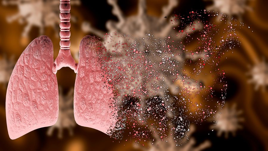 3D ilustrácia rozpadu pľúc. Zdroj: iStockphoto.com