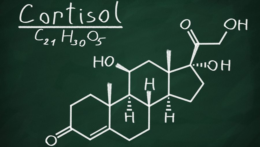 Štrukturálny model kortizolu na pozadí tabule. Zdroj: iStockphoto.com