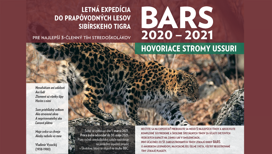Detail plagátu Letná expedícia do prapôvodných lesov sibírskeho tigra.