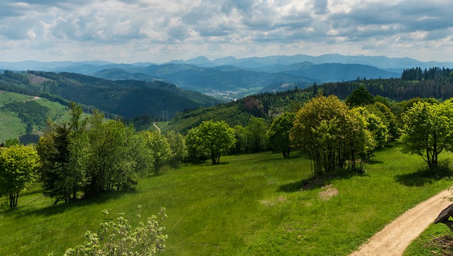 Príroda na Kysuciach. Pohľad z pohoria Javorníky na Slovensku. Zdroj: iStockphoto.com