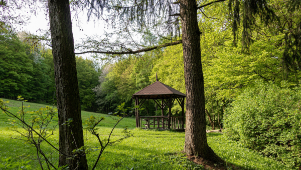 Altánok v lesnom parku Bratislavy. Zdroj: iStockphoto.com