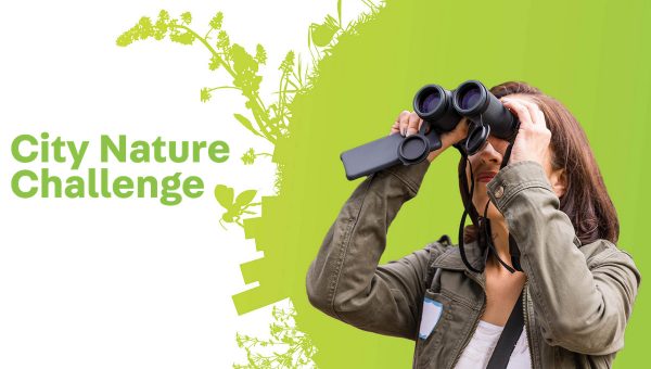 Podujatie: City Nature Challenge 2021: Bratislava