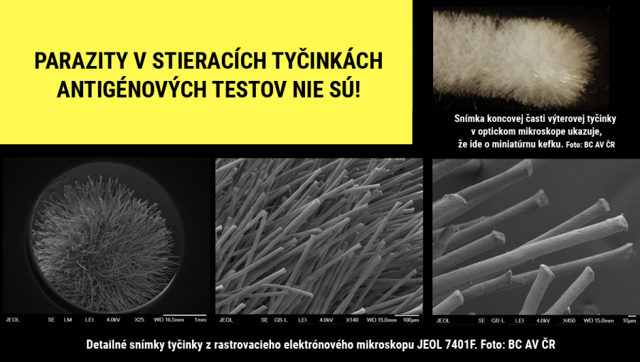 Detailné snímky testovacej tyčinky antigénového testu z rastrovacieho elektrónového mikroskopu JEOL 7410F. Foto: BC AV ČR