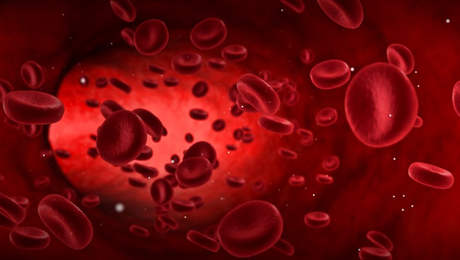 Červené krvinky v tepne. Zdroj: iStockphoto.com