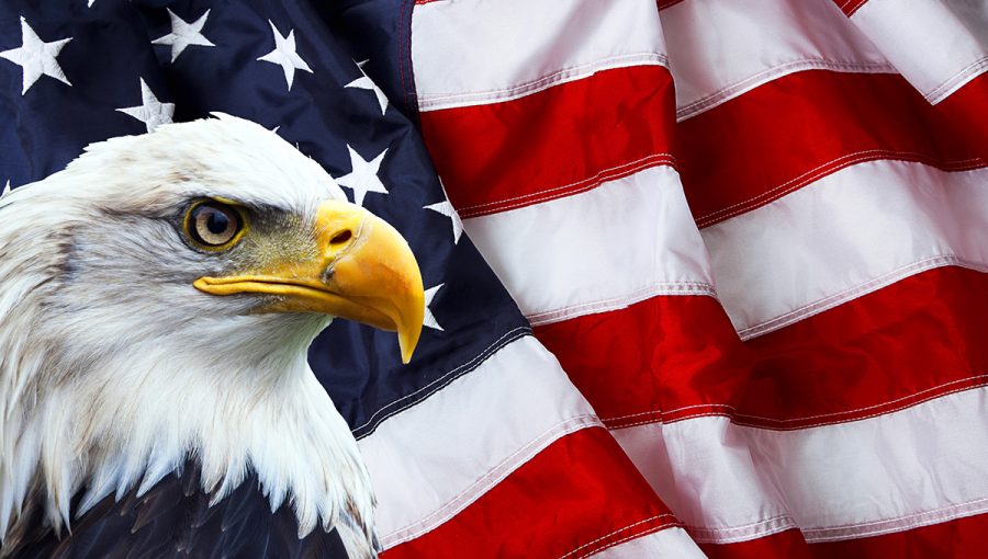 Orol na pozadí americkej vlajky. Zdroj: iStockphoto.com