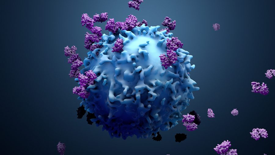 3D ilustrácia proteínov a lymfocytu. Zdroj: iStockphoto.com