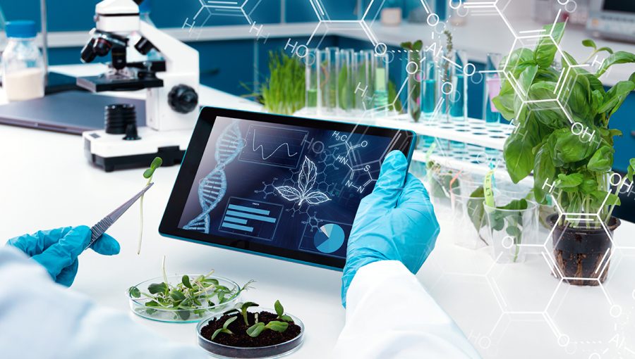 Biotechnológ v laboratóriu skúma listy rastlín na počítači. Zdroj: iStockphoto.com