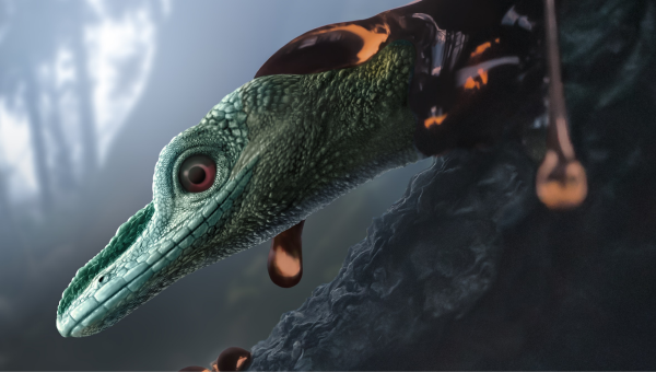 Ilustrácia hlavy jaštera Oculudentavis naga, ktorého pôvodne vedci považovali za minidinosaura. Zdroj: UK