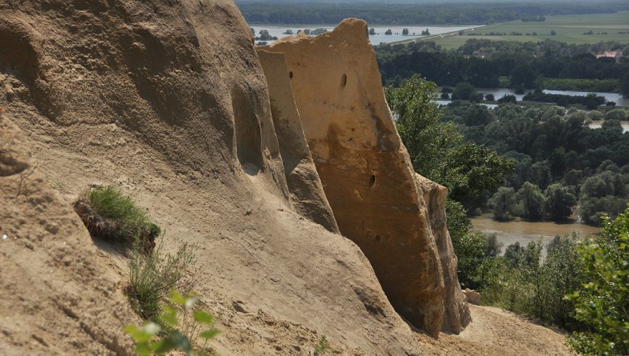 Významná paleontologická lokalita Sandberg v Devínskej Novej Vsi. Zdroj: iStockphoto.com