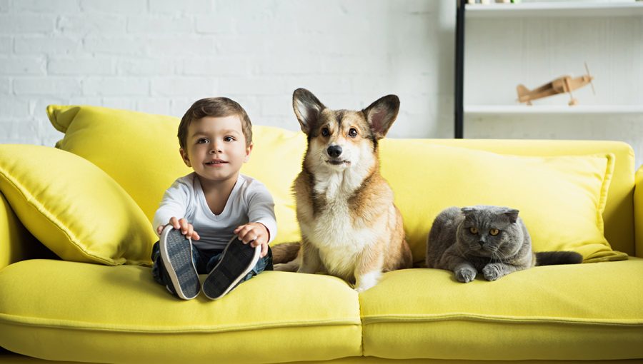 Chlapec sediaci na gauči so psom a mačkou. Zdroj: iStockphoto.com