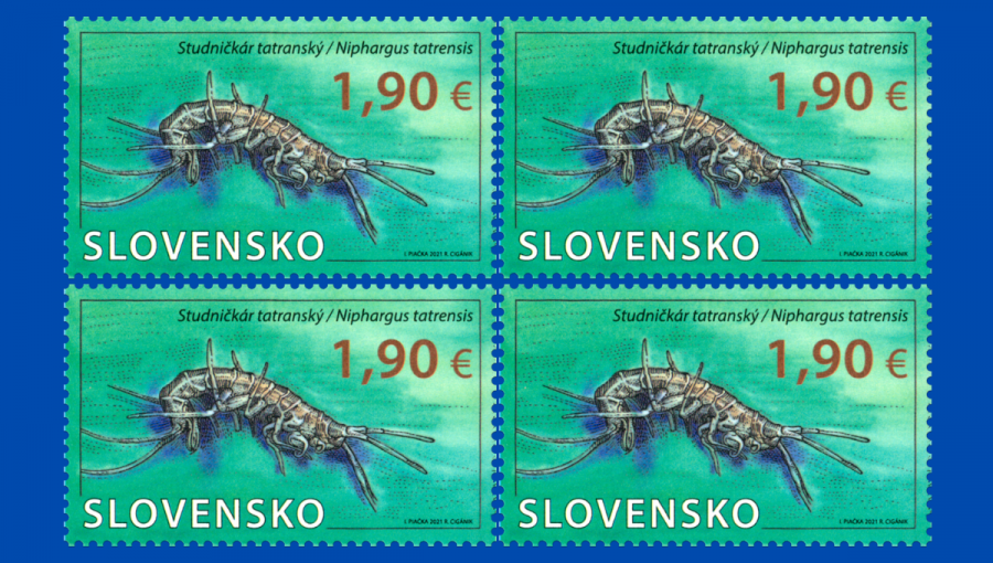Studničkár tatranský vyobrazený na poštovej známke. Zdroj: mindop.sk