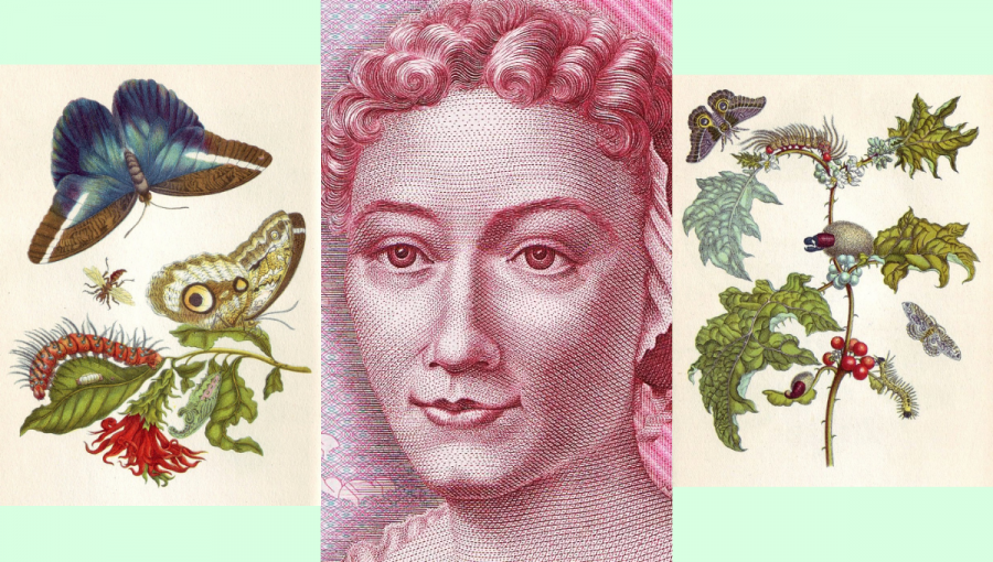 UNESCO na svojich stránkach spomína ako príklad vedkyne a umelkyne botaničku a maliarku Mariu Sibyllu Merianovú, ktorá tvorila koncom 17. storočia. Na obrázku v strede je jej portrét z nemeckej päťstomarkovej bankovky, v pravo a vľavo ukázky z jedného z jej diel – knihy Metamorfózy surinamského hmyzu. Zdroj fotografií: Wikimedia