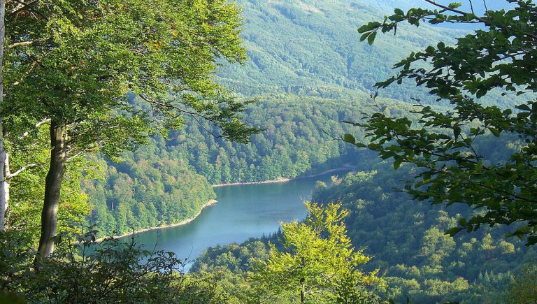 Prírodná rezervácia Vihorlatský prales bola vyhlásená v roku 2020. Nachádza sa na území Národného parku Vihorlat a obklopuje jazero Morské oko. Zdroj: europeanbeechforests.org