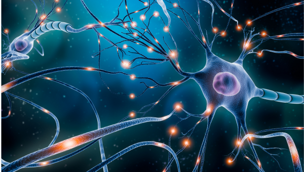 3D ilustrácia výmeny elektrických signálov medzi neurónmi. Zdroj: iStockphoto.com