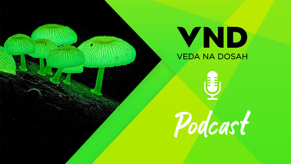 Banner k podcastu na tému Aký význam majú huby pre život na našej planéte?