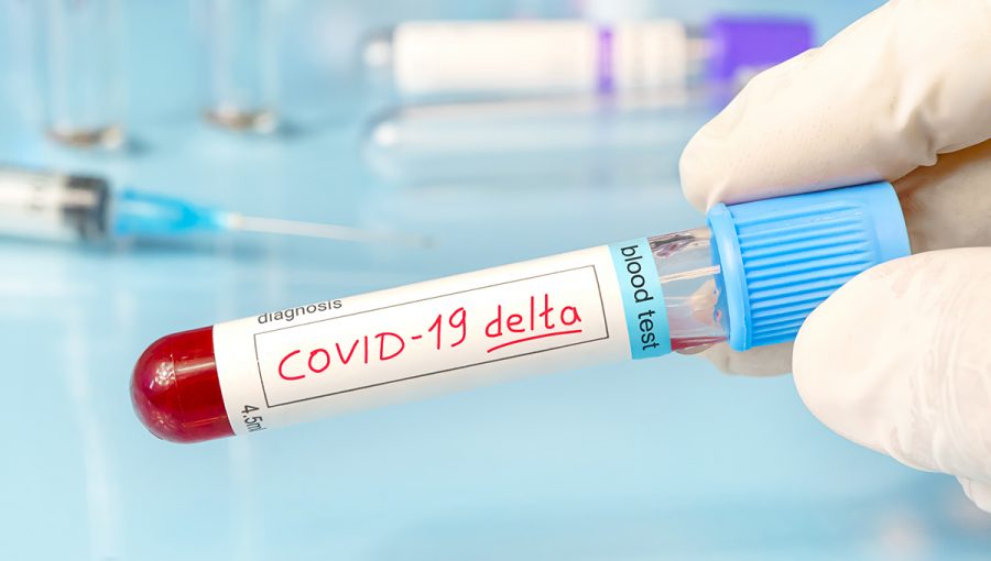 Vzorka krvi v ampulke s nápisom COVID-19 delta. Zdroj: iStockphoto.com