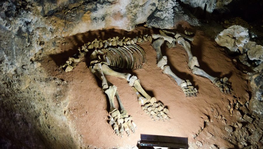 Kostra mamuta v jaskyni masívu Chatyr-Dag pri dedine Privolnoa. Zdroj: iStockphoto.com