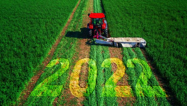 Nový rok 2022 v poľnohospodárstve. Zdroj: iStockphoto.com