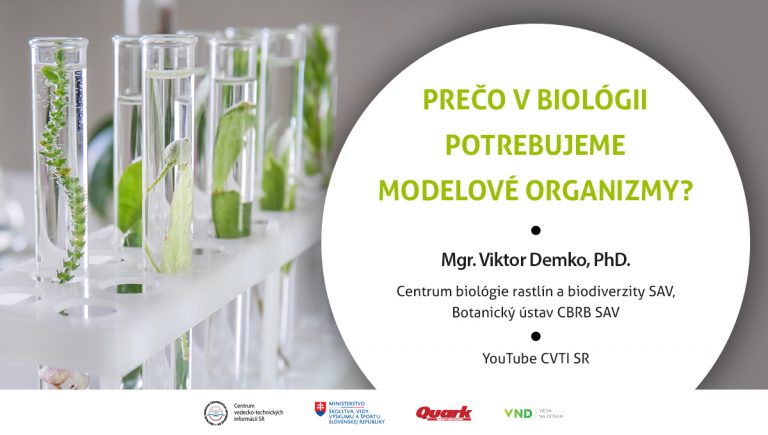 Banner k Vedeckej cukrárni na tému Prečo v biológii potrebujeme modelové organizmy? Prednášajúci: Mgr. Viktor Demko, PhD.