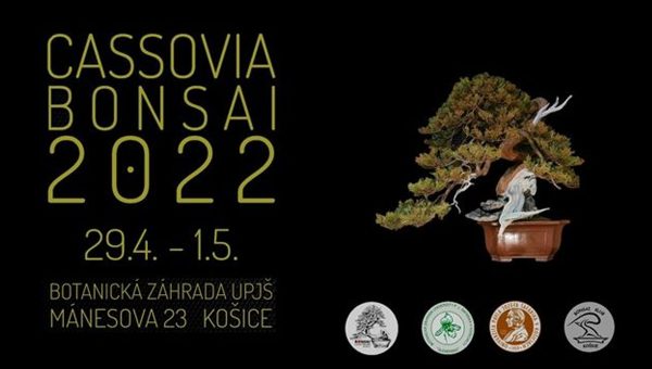 Banner podujatia: Cassovia bonsai 2022