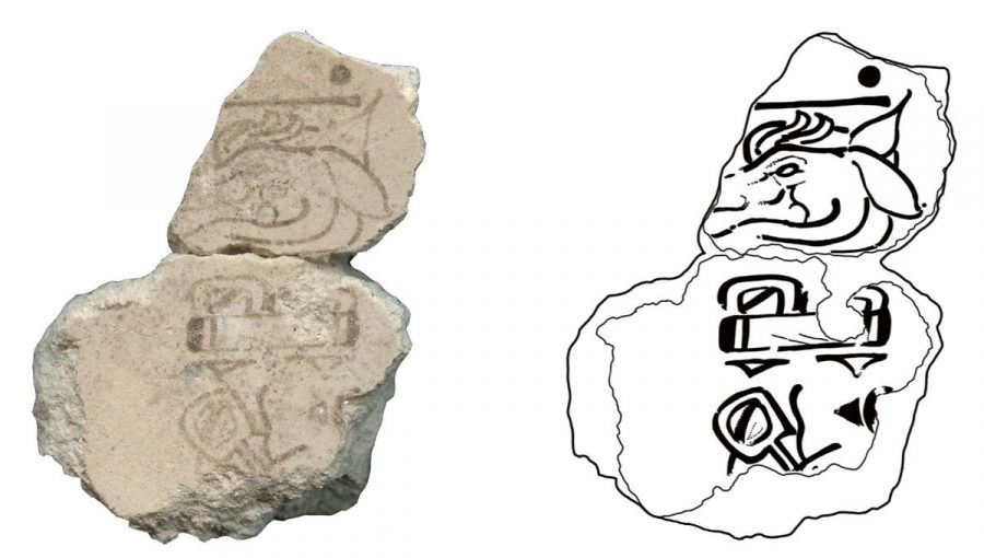 Fragment hieroglyfu z mayskeho kalendara