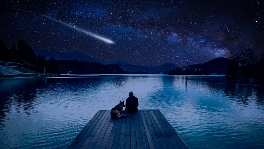 Muž so psom pozorujúci perseidy, meteorický roj. Zdroj: iStockphoto.com