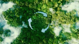 3D ilustrácia: Symbol recyklácie vo forme jazera v lese z vtáčej perspektívy. Zdroj: iStockphoto.com