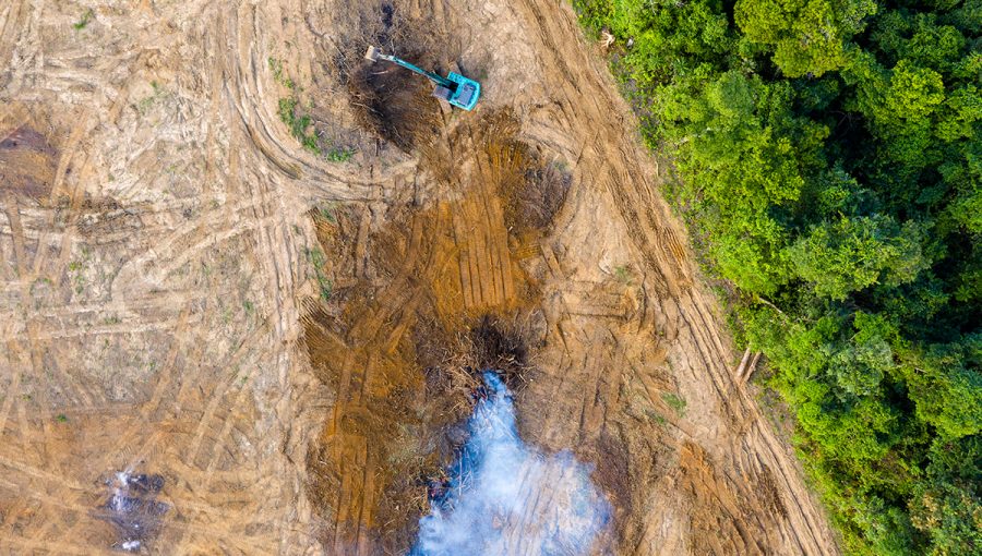 Odlesňovanie tropického pralesa z vtáčej perspektívy. Zdroj: iStockphoto.com