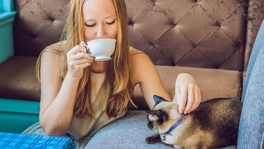 Žena pijúca kávu a hladiaca mačku po chrbte. Zdroj: iStockphoto.com