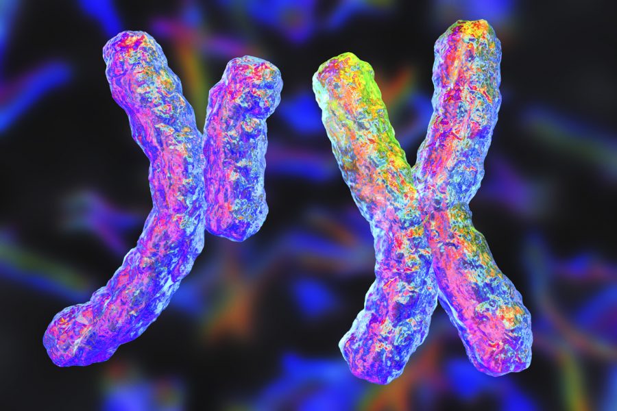 Ilustračný obrázok chromozómov Y a X. Zdroj: iStockphoto.com