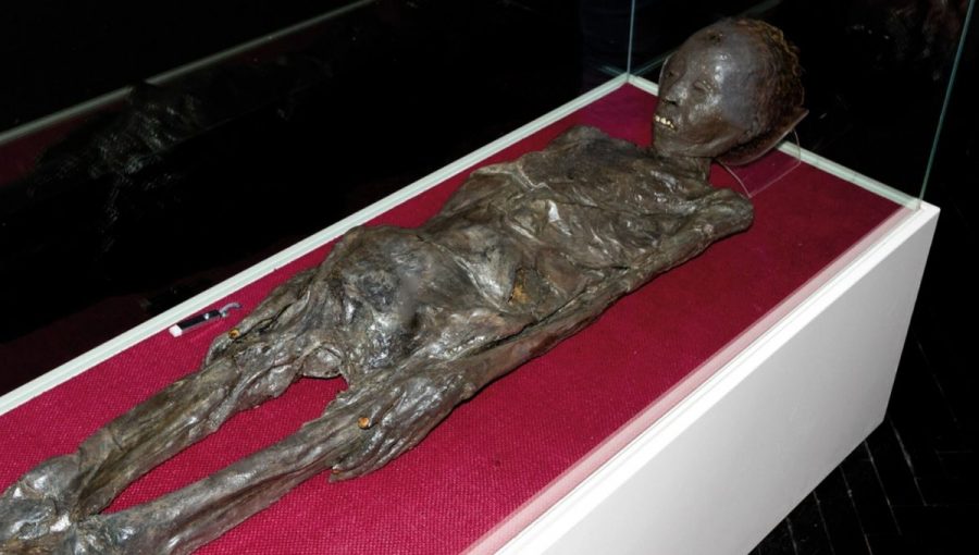 múmia ženy, ktorá bola obalená v ľanovej knihe