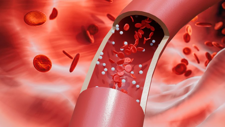 Tok bielych a červených krviniek v tepne. Zdroj: iStockphoto.com