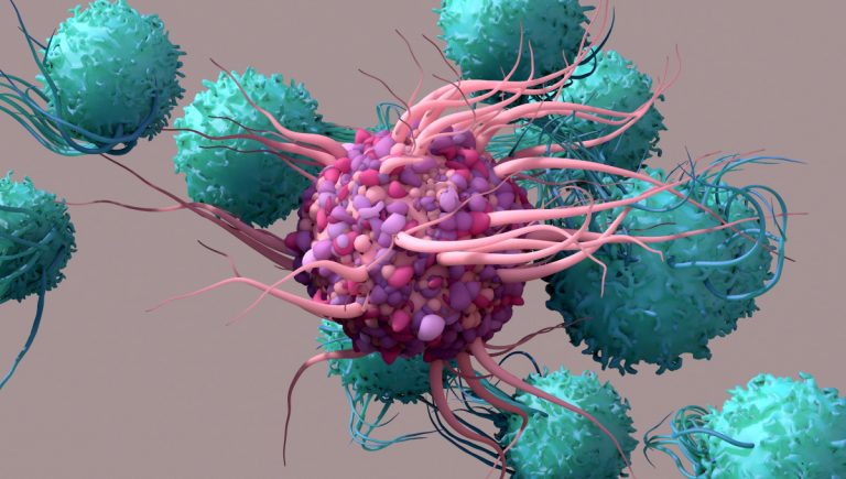 Pohľad na spustenie imunitnej reakcie prostredníctvom Dendritovej bunky aktivujúcej T-bunky. Zdroj: iStockphoto.com