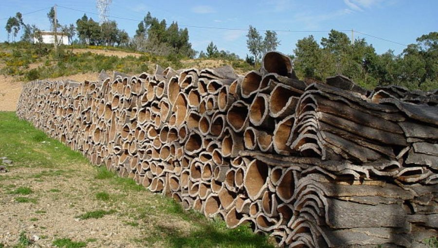 spracovanie korkového dreva. Zdroj: Wikimedia Commonss