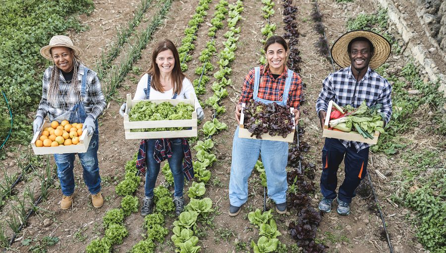 Farmári s čerstvou zeleninou. Zdroj: iStockphoto.com