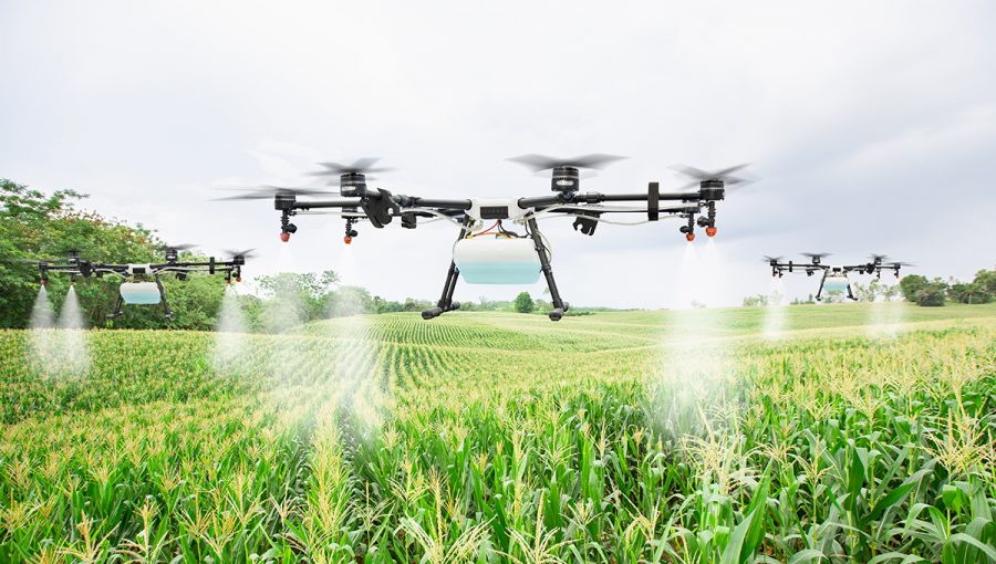 Drony sprejujú hnojivo na pole s kukuricou. Zdroj: iStockphoto.com