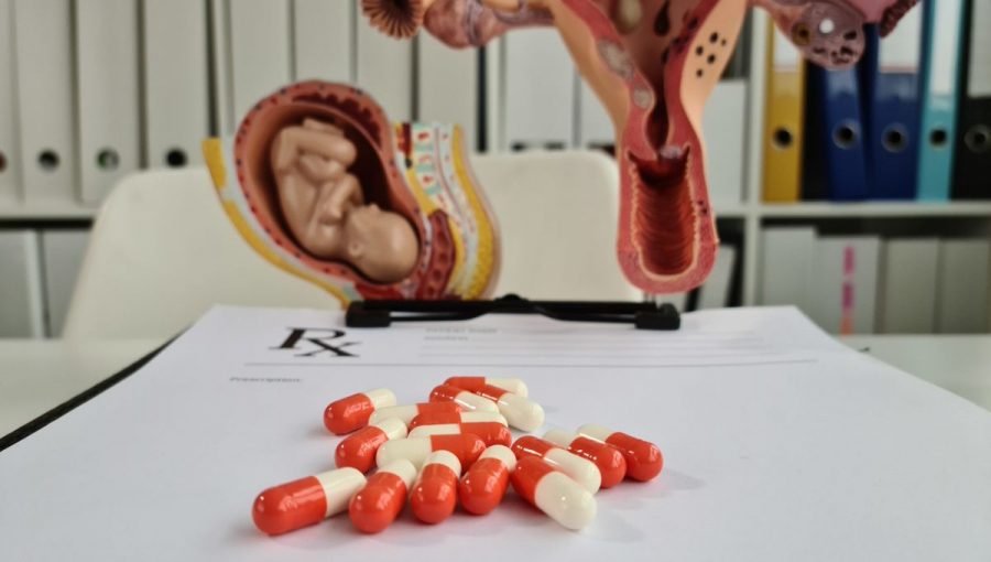 lieky a model maternice