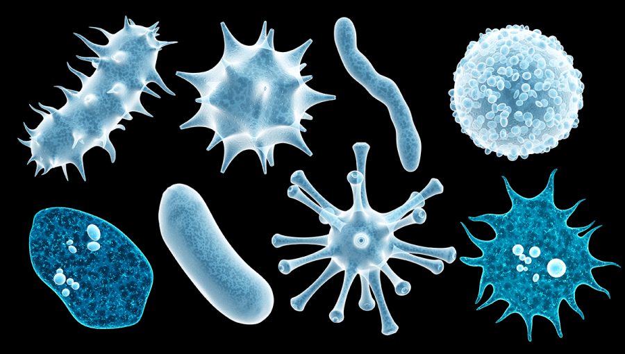 Baktérie, mikroorganizmy a vírusy. Zdroj: iStockphoto.com