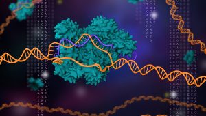 Technológia CRISPR-Cas9. Zdroj: iStockphoto.com